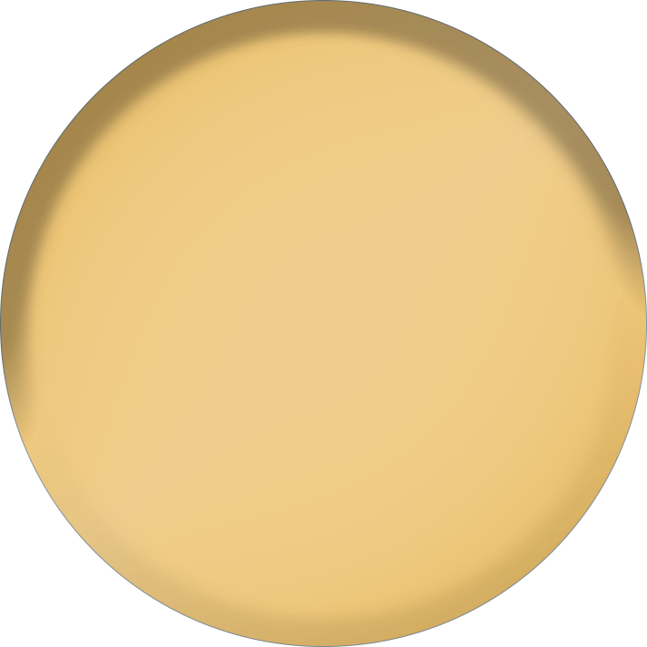 Inox | 18k Gold PVD (+$8)